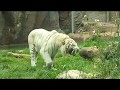 Zoo in Rome, Italy (Bioparco Zoo)