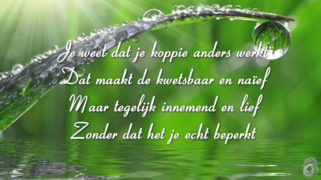Je Bent Lief En Bijzonder