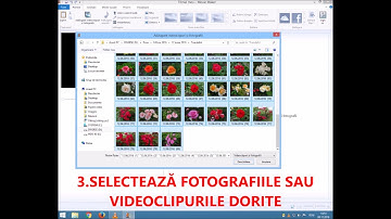 Windows Movie Maker video editor tutorial