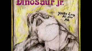 Video thumbnail of "Dinosaur Jr. - Just Like Heaven"