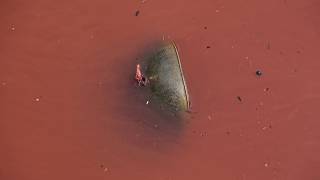 Cocoa Beach,  red algal bloom April 26, 2018