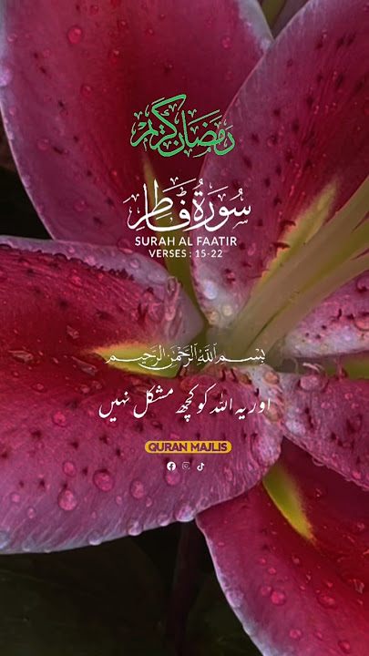 Surah Al-Faatir ayat 15-22 With Urdu translation#islaami video #viralvideo