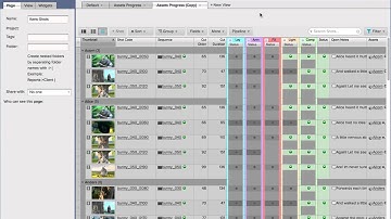 Shotgun Software Tip 8: Custom Tabs