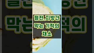 혈전.지방간 막는 기적의 채소  #중장년건강 #양배추효능 #혈전예방 #지방간개선 #아침식단 #건강채소 #건강정보
