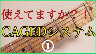 『使える！』CAGEDシステム1\/2