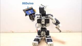 PPAP X 86Duino