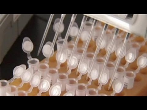 ایمنی درمانی روشی انقلابی در درمان سرطان خون