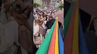 Carnavales de la CDMX: Siglos de Resistencia y Fiesta Popular/5 15