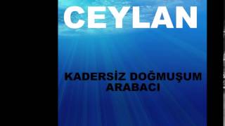 Ceylan - Arabacı Resimi