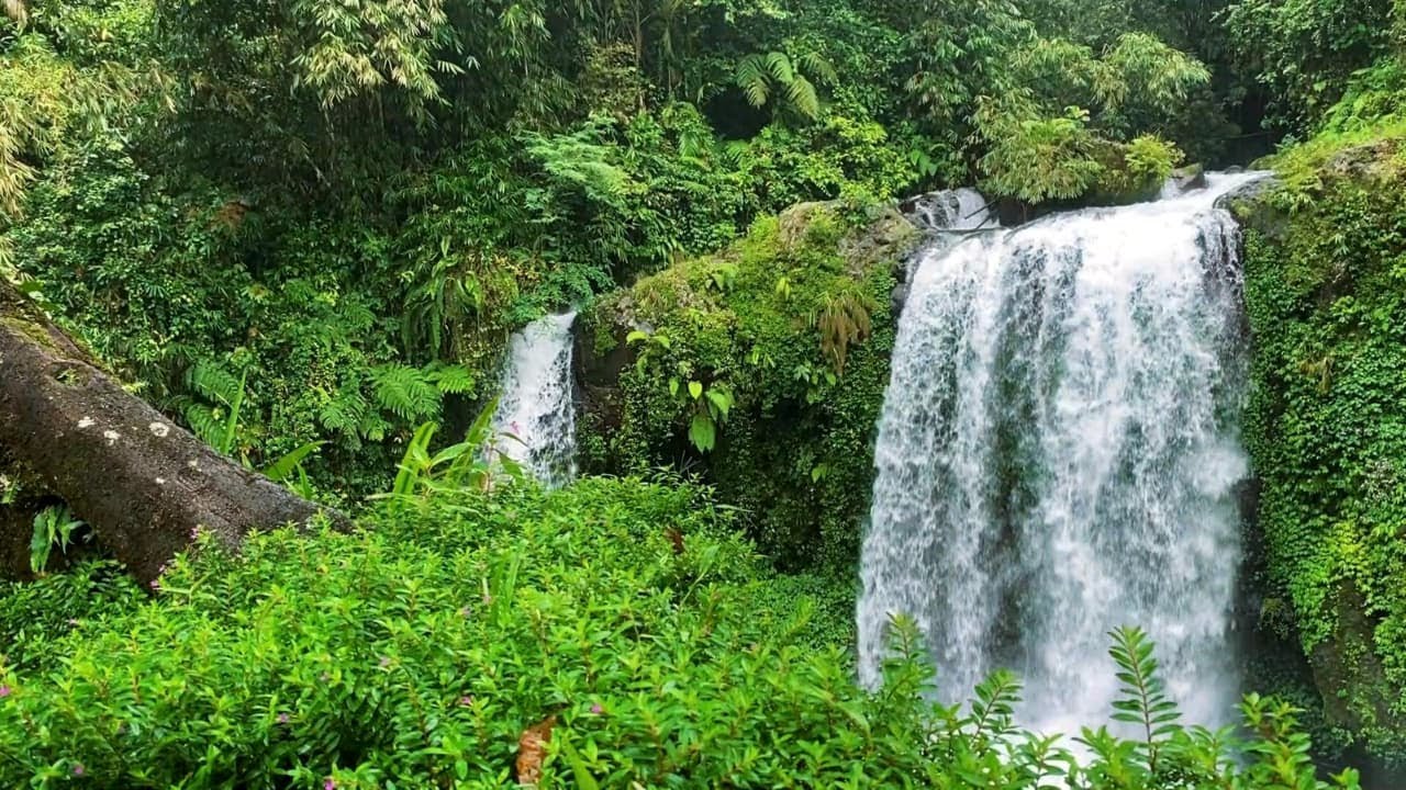 Fall Asleep Naturally | Night Waterfall Sounds as Calm Nature Medichine