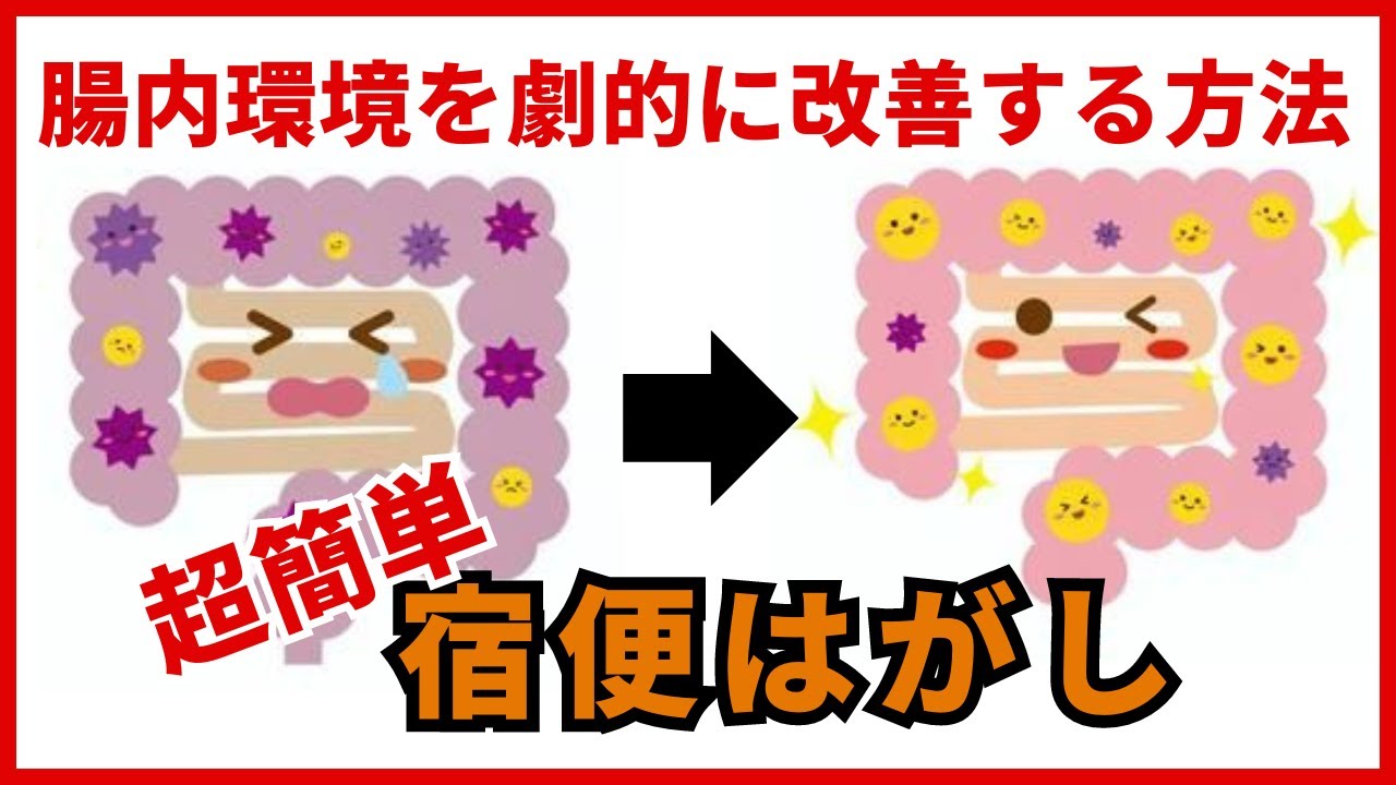 【超簡単宿便はがし】腸内環境を劇的に改善する方法 - YouTube