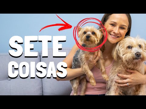Vídeo: Por que os cães perseguem suas caudas?