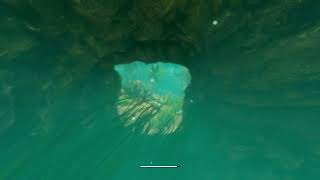 Swimming With The Fishes - Green Hell | Spirits Of Amazonia - Part 30