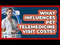 What Influences Pet Telemedicine Visit Costs?
