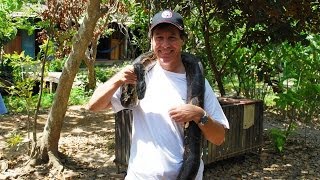 Holding Large Python in Mekong Delta, Vietnam