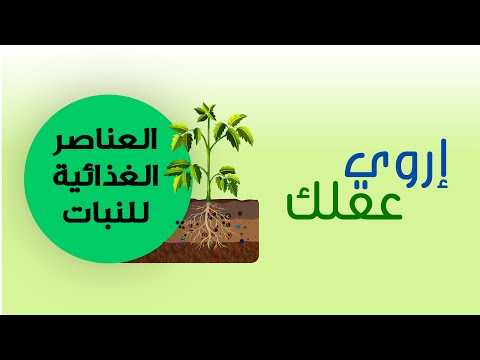 فيديو: ملامح تغذية النبات