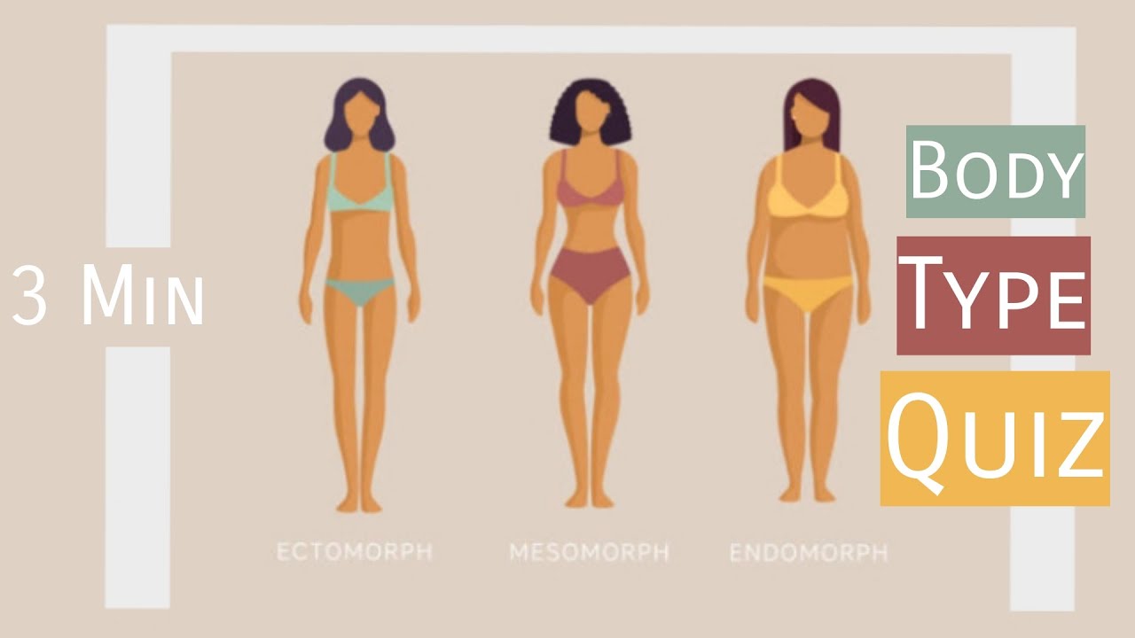 Body Types  Mesomorph, Ectomorph & Endomorph - Video & Lesson