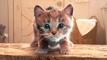 Fun Pet Care Game - Little Kitten Adventures - Play Costume Dress-Up Party Gamepaly