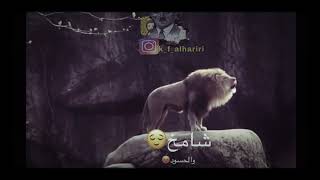 الصبر واجب والاسد يبقى اسد