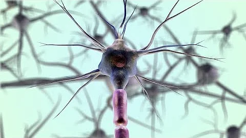 10 Interesting Scientific Discoveries for June of 2025 thumbnail
