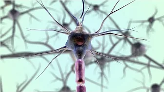 10 Interesting Scientific Discoveries for June of 2025