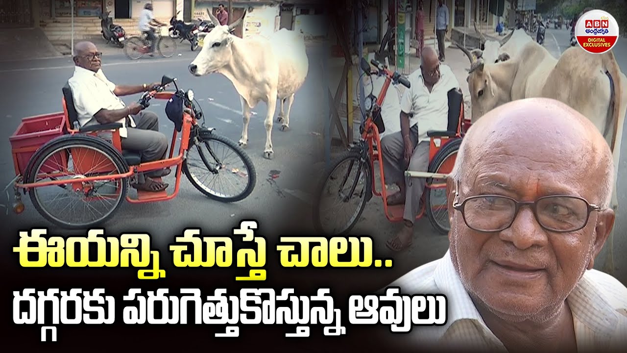Viral Video : ఈయన్ని చూస్తే చాలు.. దగ్గరకు పరుగెత్తుకొస్తున్న ఆవులు | Karim Nagar animal Lover |ABN