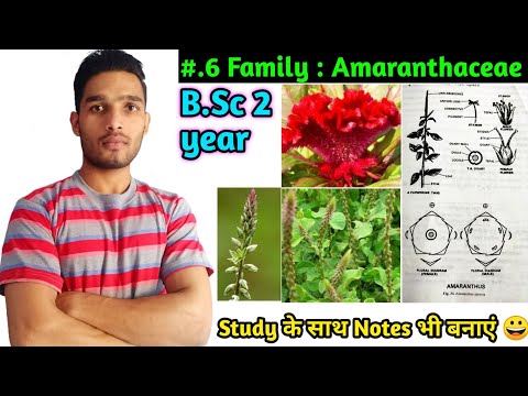 Family Amaranthaceae / Floral formula, Vegetative characters Economic Importance/ B.Sc 2 year