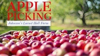 Apple & Pumpkin Picking at Johnson’s Locust Hall Farm