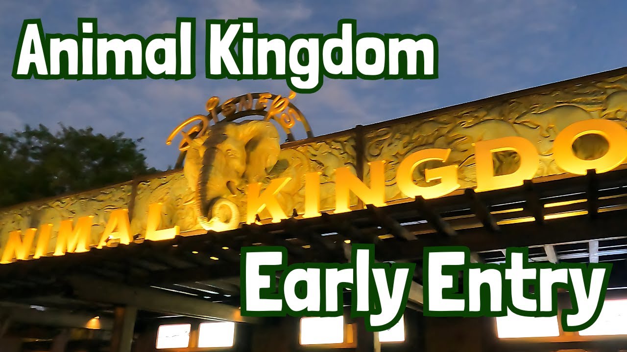 Rope Drop at Animal Kingdom | What Early Entry Really Looks Like