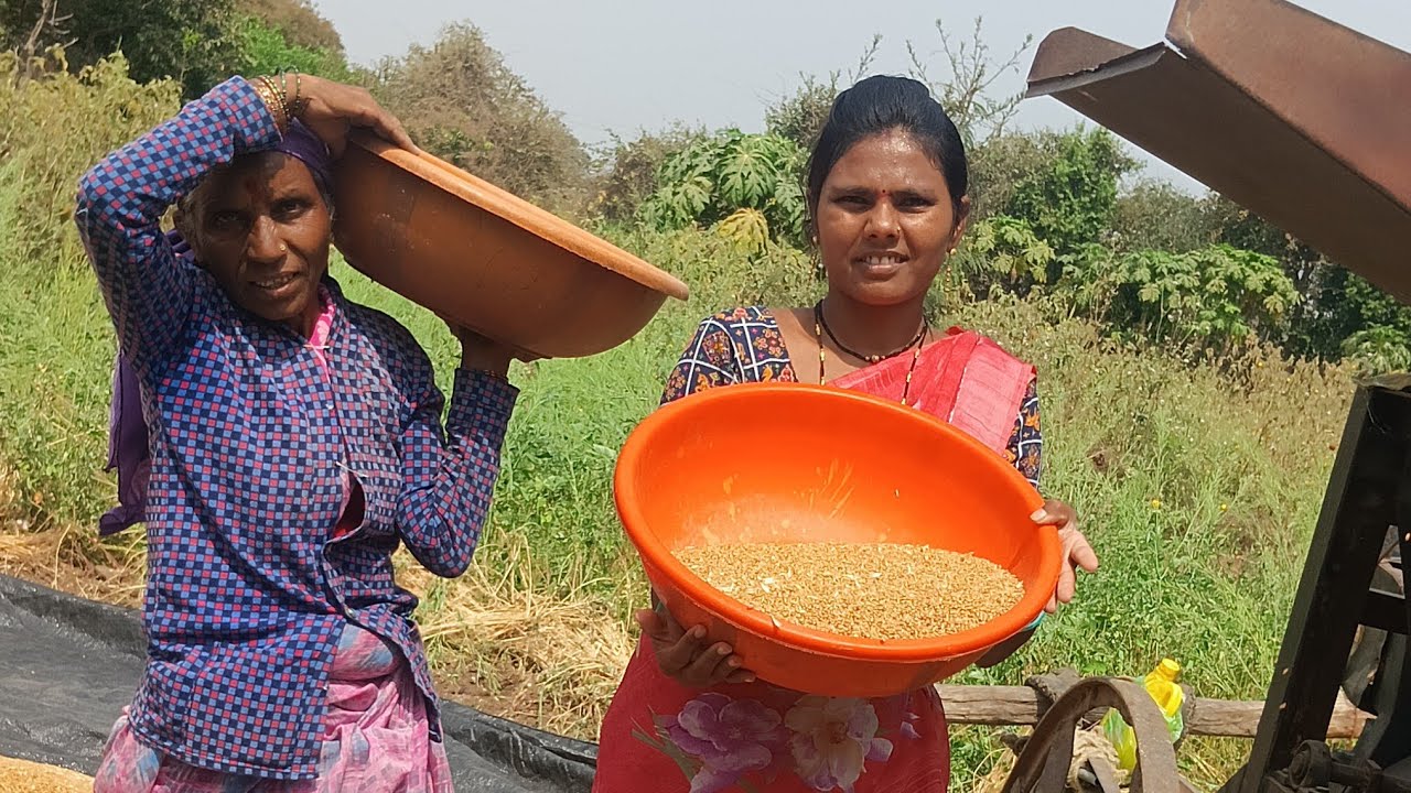 आमचे केले  बघा आज गहू फिल्टर तर गहू किती स्वच्छ झाले 🥰