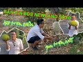 ĐẤT ĐỐI DIỆN VƯỜN MÍT [BĐS NEW LAND SỐ 10]