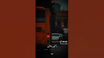 تايهين ضايعين مش لاقيين المرسى 