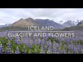 ICELAND: GLACIER AND FLOWERS. Flying over / Aerial / Drone Film