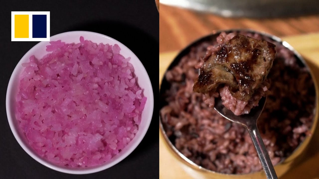 South Korean scientists develop a new meat alternative: beef rice - YouTube