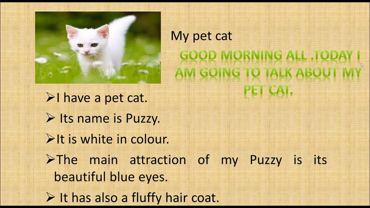 MY PET CAT . SPEECH FOR ASSEMBLY, FOR KIDS,SIMPLE ,EASY TO LEARN . IDEAL  FOR K.G AND GRADE 1&2 