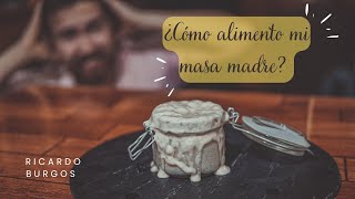 🍞 😲¿Cómo Alimentar o Refrescar la Masa Madre Adecuadamente? 🍞 😲