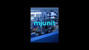 mjunit light XYZ axis linear motion platform 3 axis gantry linear module sliding table grab position