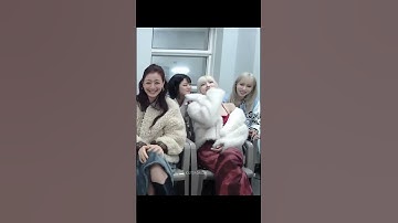 MINA AND JIHYO I saw that! 👀 What are you two plotting? #momo #jihyo #mina