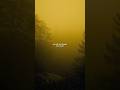track: getting worse at feeling bad #calmmusic #ambientmusic #atmosphere #escapism #fy