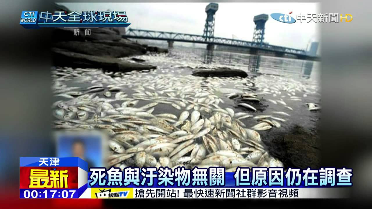 憂日輻射污染　醫師：少吃鮪魚、旗魚