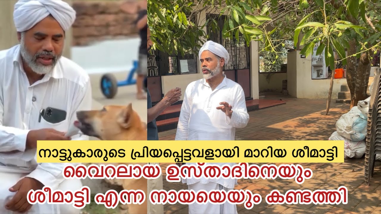വൈറലായ ഉസ്താദിനെയും ശീമാട്ടി എന്ന നായയെയും കണ്ടെത്തി #kerala #doglove #malappuram 