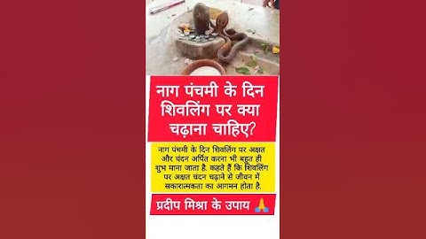 📌 नाग पंचमी के दिन शिवलिंग पर क्या चढ़ाना चाहिए? #pradeepmishra #pradeepmishraji #nagpanchami #video