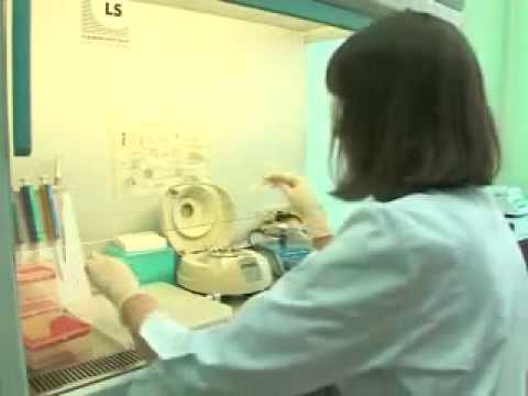 ПЦР - полимеразная цепная реакция