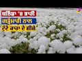 Heavy hailstroming in punjab           wheat fields damage