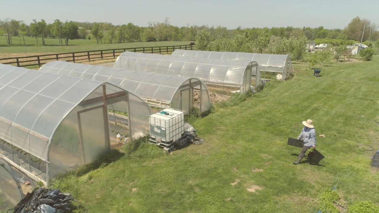 Uk Research Shows The Benefit Of Therapeutic Horticulture On Women