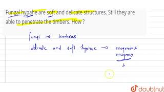 Fungal hypahe are soft and delicate structures. Still they are able to penetrate the timbers. Ho... screenshot 5