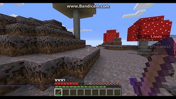 CubeCraft Hacker: Ban Him