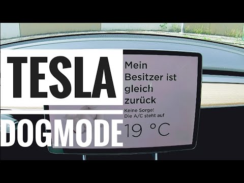 Video: Wird Teslas "Hundemodus" Ihr Hündchen Im Auto Sicherer Machen?