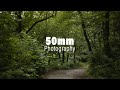 50mm Photography in the Forest on a Rainy Day [Landscape Photography]