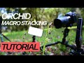 Orchid macrophoto stacking tutorial